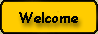 Go to Welcome page